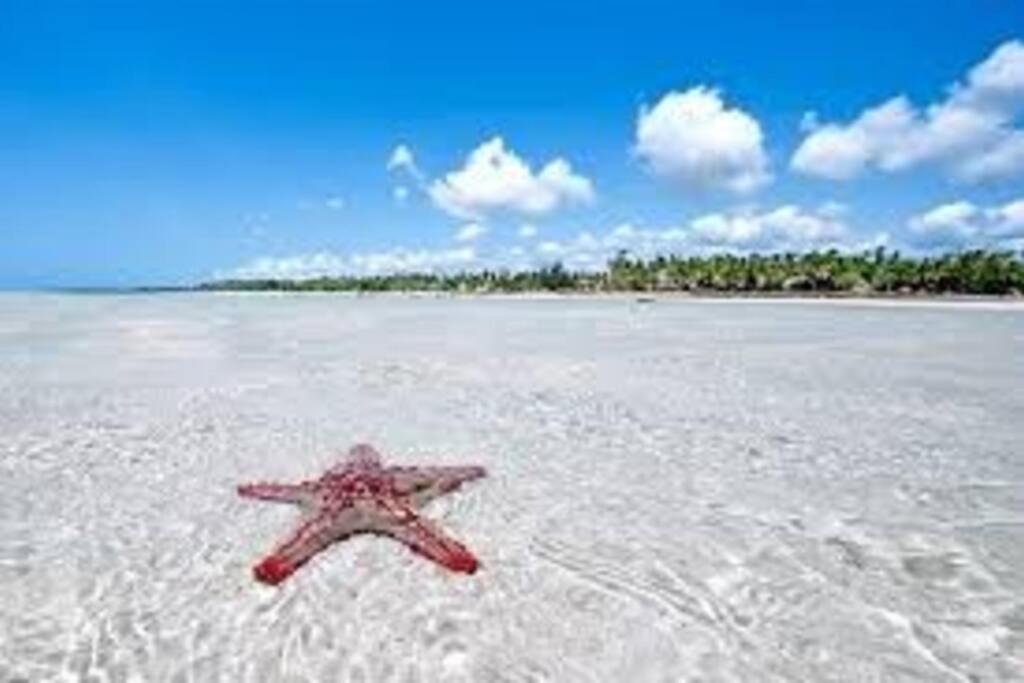 White Villa - Paparemo Beach Watamu Εξωτερικό φωτογραφία